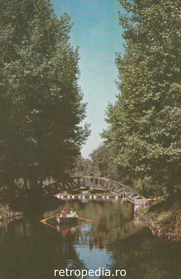 Parcul Argeș Pitești 1966 vedere panoramică lac și vegetație, fata